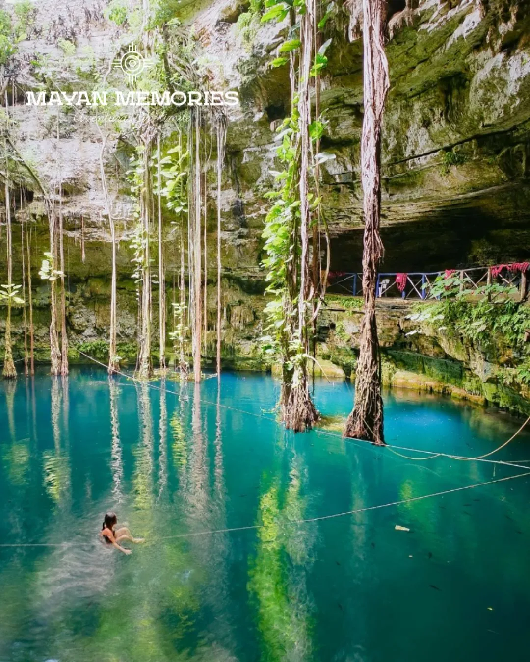 Open cenote with hanging roots and turquoise water