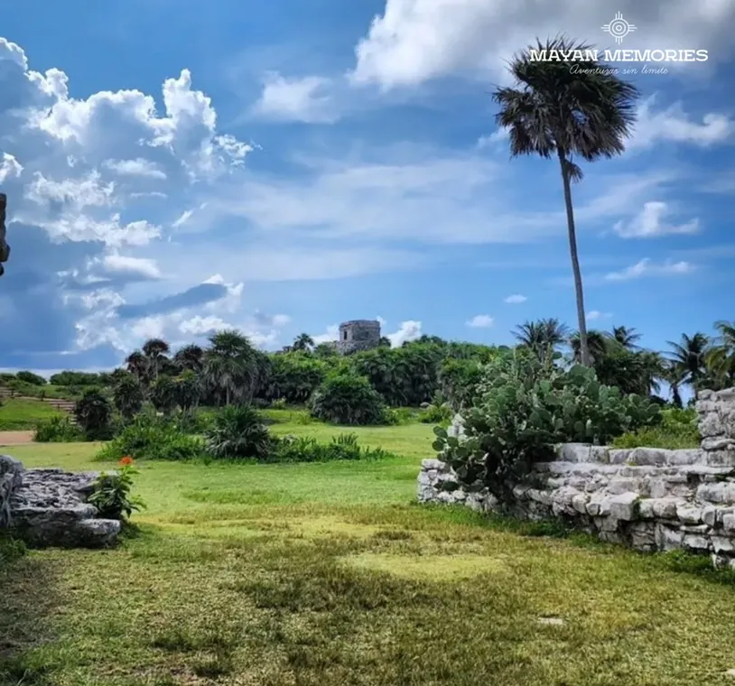 Mayan ruins among the grass and palm trees under a blue sky