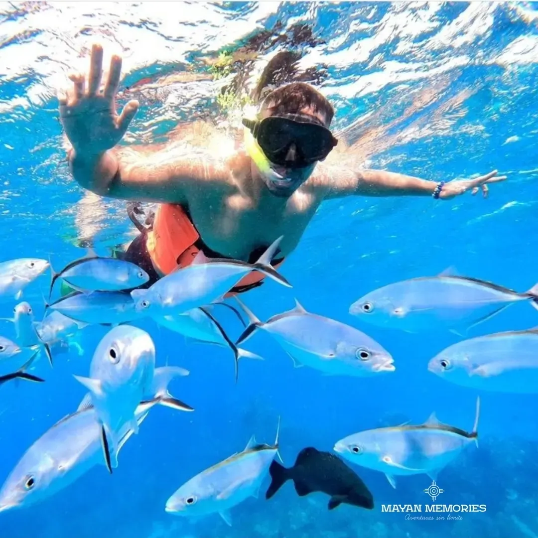 Snorkeler swimming among a school of fish