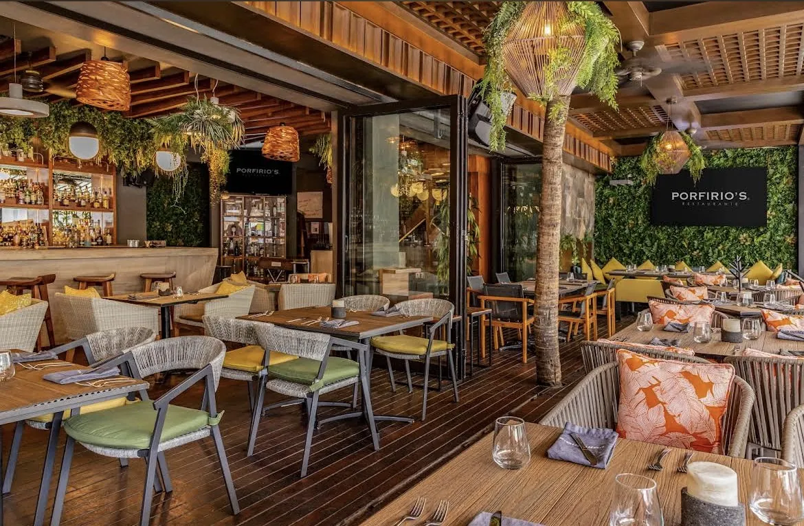 Porfirio's dining room with plants and a wooden terrace