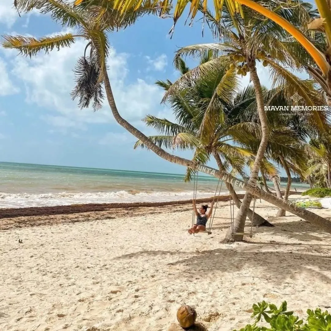 Playa con palmeras y un columpio junto al mar