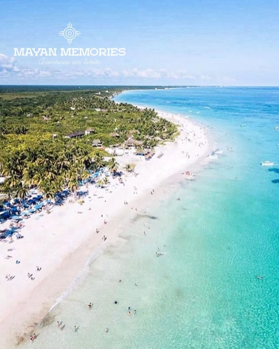 Aerial view of a long white-sand beach beside the jungle